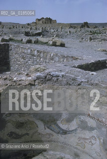 ( TUNISIA ) SITO ARCHEOLOGICO DI SBEITLA : FONTE BATTESIMALE - © 1996 Graziano Arici/Rosebud2 / GEO