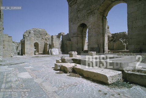 ( TUNISIA ) SITO ARCHEOLOGICO DI  MAKTAR - © 1996 Graziano Arici/Rosebud2 / GEO