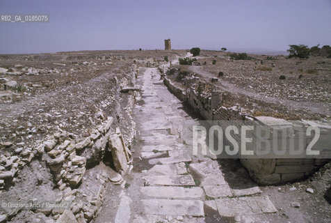 ( TUNISIA ) SITO ARCHEOLOGICO DI  MAKTAR - © 1996 Graziano Arici/Rosebud2 / GEO