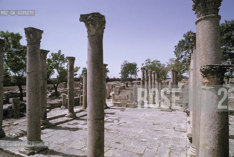 ( TUNISIA ) SITO ARCHEOLOGICO DI  MAKTAR - © 1996 Graziano Arici/Rosebud2 / GEO
