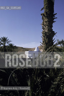 ( TUNISIA ) TOZEUR : OASI  - © 1996 Graziano Arici/Rosebud2 / GEO /