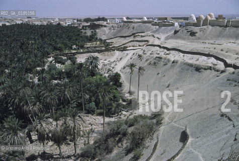 ( TUNISIA )  OASI  DI NEFTA - © 1996 Graziano Arici/Rosebud2 / GEO /