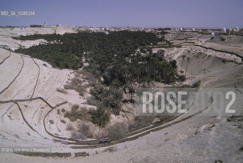 ( TUNISIA )  OASI  DI NEFTA - © 1996 Graziano Arici/Rosebud2 / GEO /
