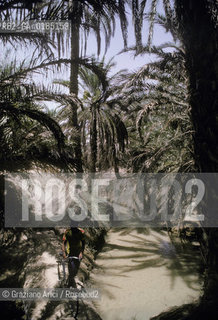 ( TUNISIA )  OASI  DI NEFTA - © 1996 Graziano Arici/Rosebud2 / GEO / BICICLETTA