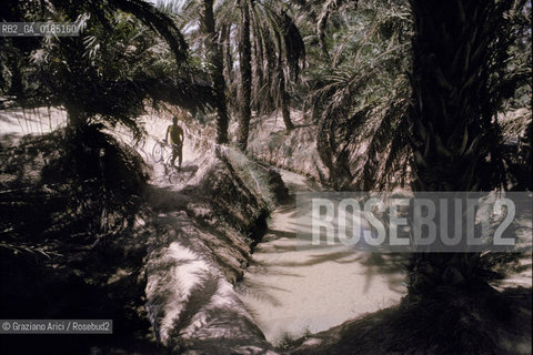 ( TUNISIA )  OASI  DI NEFTA - © 1996 Graziano Arici/Rosebud2 / GEO / BICICLETTA