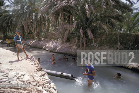( TUNISIA )  OASI  DI NEFTA - © 1996 Graziano Arici/Rosebud2 / GEO /