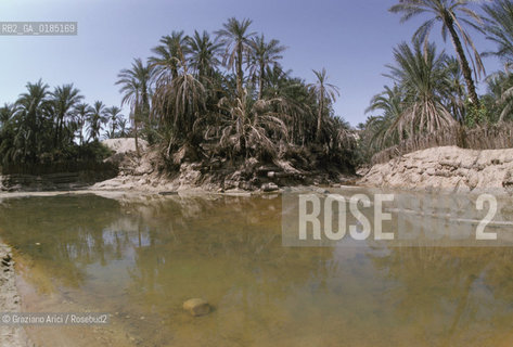 ( TUNISIA )  OASI  DI NEFTA - © 1996 Graziano Arici/Rosebud2 / GEO /