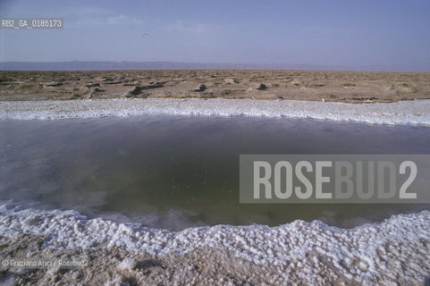 ( TUNISIA )  DESERTO SALATO DI CHOTT EL DJERID - © 1996 Graziano Arici/Rosebud2 / GEO /