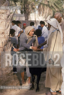 ( TUNISIA )  MERCATO NELLOASI DI DOUZ  - © 1996 Graziano Arici/Rosebud2 / GEO /