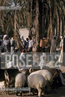 ( TUNISIA )  MERCATO NELLOASI DI DOUZ  - © 1996 Graziano Arici/Rosebud2 / GEO /