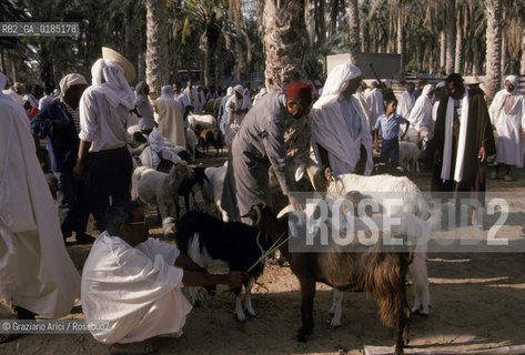( TUNISIA )  MERCATO NELLOASI DI DOUZ  - © 1996 Graziano Arici/Rosebud2 / GEO /