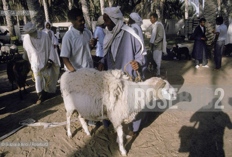 ( TUNISIA )  MERCATO NELLOASI DI DOUZ  - © 1996 Graziano Arici/Rosebud2 / GEO /