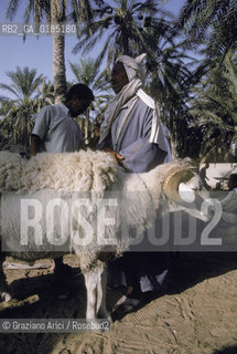 ( TUNISIA )  MERCATO NELLOASI DI DOUZ  - © 1996 Graziano Arici/Rosebud2 / GEO /