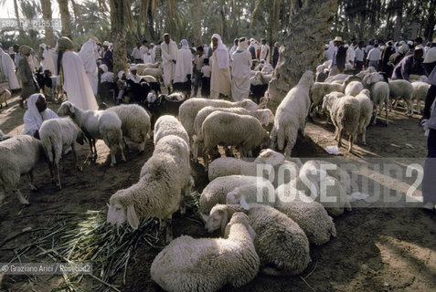 ( TUNISIA )  MERCATO NELLOASI DI DOUZ  - © 1996 Graziano Arici/Rosebud2 / GEO /