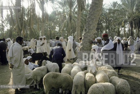 ( TUNISIA )  MERCATO NELLOASI DI DOUZ  - © 1996 Graziano Arici/Rosebud2 / GEO /