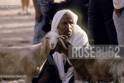 ( TUNISIA )  MERCATO NELLOASI DI DOUZ  - © 1996 Graziano Arici/Rosebud2 / GEO /