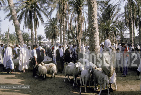 ( TUNISIA )  MERCATO NELLOASI DI DOUZ  - © 1996 Graziano Arici/Rosebud2 / GEO /