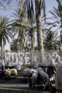 ( TUNISIA )  MERCATO NELLOASI DI DOUZ  - © 1996 Graziano Arici/Rosebud2 / GEO /