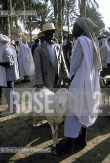 ( TUNISIA )  MERCATO NELLOASI DI DOUZ  - © 1996 Graziano Arici/Rosebud2 / GEO /