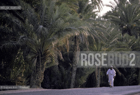 ( TUNISIA ) OASI DI DOUZ  - © 1996 Graziano Arici/Rosebud2 / GEO /