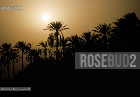 ( TUNISIA )  OASI DI DOUZ  - © 1996 Graziano Arici/Rosebud2 / GEO /