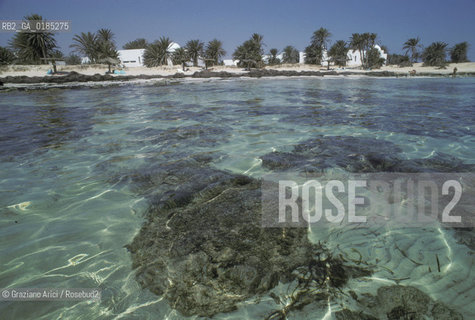 ( TUNISIA )  ISOLA DJERBA ( JERBA ) : SPIAGGIA - © 1996 Graziano Arici/Rosebud2 / GEO / MARE