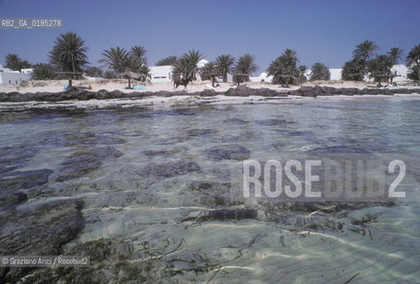 ( TUNISIA )  ISOLA DJERBA ( JERBA ) : SPIAGGIA - © 1996 Graziano Arici/Rosebud2 / GEO / MARE
