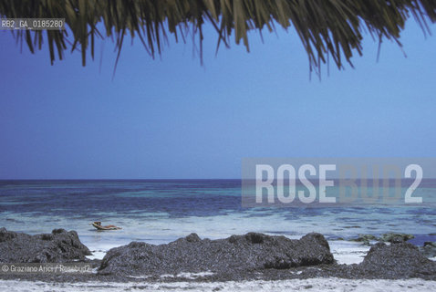 ( TUNISIA )  ISOLA DJERBA ( JERBA ) : SPIAGGIA - © 1996 Graziano Arici/Rosebud2 / GEO