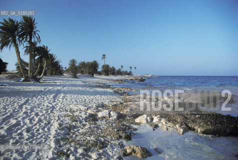 ( TUNISIA )  ISOLA DJERBA ( JERBA ) : SPIAGGIA - © 1996 Graziano Arici/Rosebud2 / GEO
