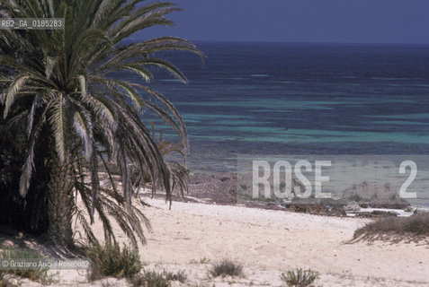 ( TUNISIA )  ISOLA DJERBA ( JERBA ) : SPIAGGIA - © 1996 Graziano Arici/Rosebud2 / GEO