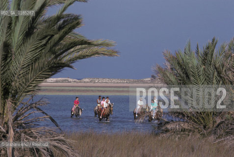 ( TUNISIA )  ISOLA DJERBA ( JERBA ) : SPIAGGIA - © 1996 Graziano Arici/Rosebud2 / GEO / CAVALLO