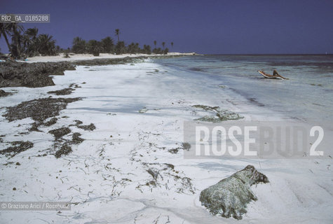( TUNISIA )  ISOLA DJERBA ( JERBA ) : SPIAGGIA - © 1996 Graziano Arici/Rosebud2 / GEO