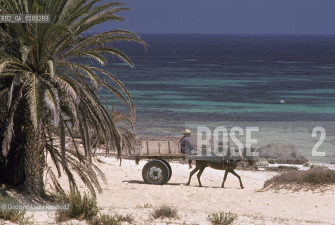 ( TUNISIA )  ISOLA DJERBA ( JERBA ) : SPIAGGIA - © 1996 Graziano Arici/Rosebud2 / GEO