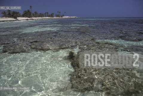 ( TUNISIA )  ISOLA DJERBA ( JERBA ) : SPIAGGIA - © 1996 Graziano Arici/Rosebud2 / GEO