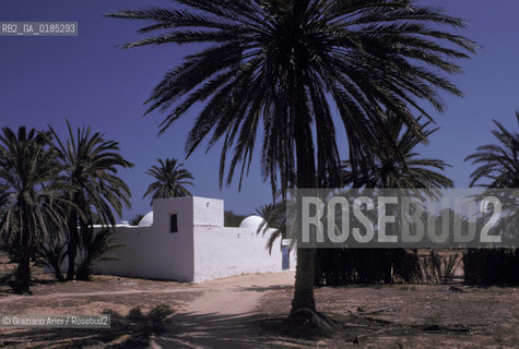 ( TUNISIA )  ISOLA DJERBA ( JERBA ) : CASA - © 1996 Graziano Arici/Rosebud2 / GEO / ARCHITETTURA / PALMA