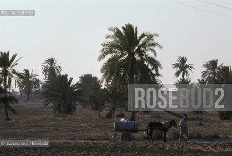 ( TUNISIA )  ISOLA DJERBA ( JERBA )  - © 1996 Graziano Arici/Rosebud2 / GEO