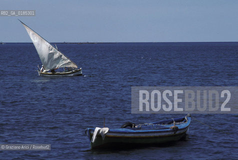 ( TUNISIA )  ISOLA DJERBA ( JERBA ) : BARCHE DA PESCA  - © 1996 Graziano Arici/Rosebud2 / GEO