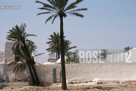 ( TUNISIA )  ISOLA DJERBA ( JERBA ) : CASA - © 1996 Graziano Arici/Rosebud2 / GEO / ARCHITETTURA