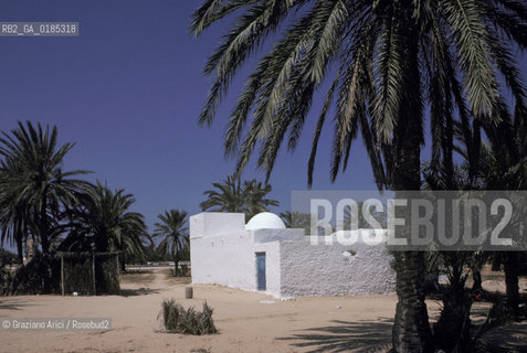 ( TUNISIA )  ISOLA DJERBA ( JERBA ) : CASA - © 1996 Graziano Arici/Rosebud2 / GEO / ARCHITETTURA