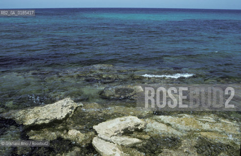 ( TUNISIA ) CAPO BON   - © 1996 Graziano Arici/Rosebud2 / GEO / MARE