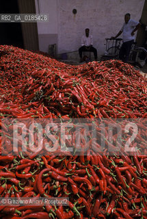 ( TUNISIA ) CAPO BON  : FABBRICA DI SALSA HARISSA ( PEPERONCINO )  - © 1996 Graziano Arici/Rosebud2 / GEO / ROSSO