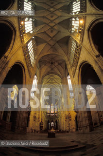 ( REPUBBLICA CECA ) PRAGA : CATTEDRALE DI S.VITO ( HRADCANY) - © 1986 Graziano Arici/Rosebud2 / GEO