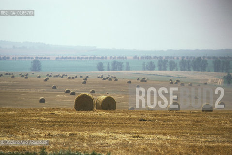( REPUBBLICA CECA ) -  MORAVIA  -  BRNO -  PIABA DI AUSTERLITZ  - © 1986 Graziano Arici/Rosebud2 / GEO / NAPOLEONE / BATTAGLIA