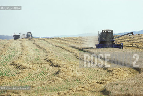 ( REPUBBLICA CECA ) -  BOEMIA  -  CAMPI DI GRANO  - © 1986 Graziano Arici/Rosebud2 / GEO