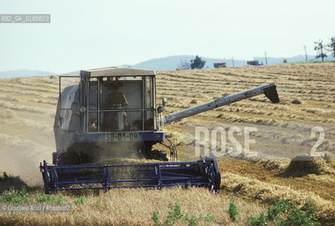 ( REPUBBLICA CECA ) -  BOEMIA  -  CAMPI DI GRANO  - © 1986 Graziano Arici/Rosebud2 / GEO