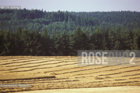 ( REPUBBLICA CECA ) -  MORAVIA  -  PAESAGGIO   - © 1986 Graziano Arici/Rosebud2 / GEO