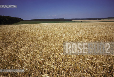 ( REPUBBLICA CECA ) -  MORAVIA  -  PAESAGGIO   - © 1986 Graziano Arici/Rosebud2 / GEO  GRANO