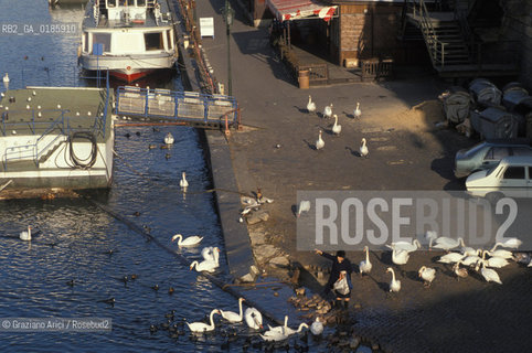 ( REPUBBLICA CECA ) PRAGA : IL FIUME MOLDAVA  - © 1986 Graziano Arici/Rosebud2 / GEO