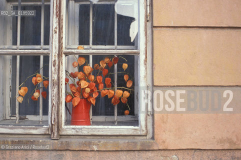 ( REPUBBLICA CECA ) PRAGA : STARE MESTO - FINESTRA  - © 1986 Graziano Arici/Rosebud2 / GEO