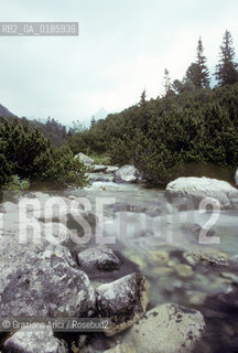 ( REPUBBLICA SLOVACCA  ) -  SLOVACCHIA  - TORRENTE SUI MONTI TATRA   - © 1986 Graziano Arici/Rosebud2 / GEO